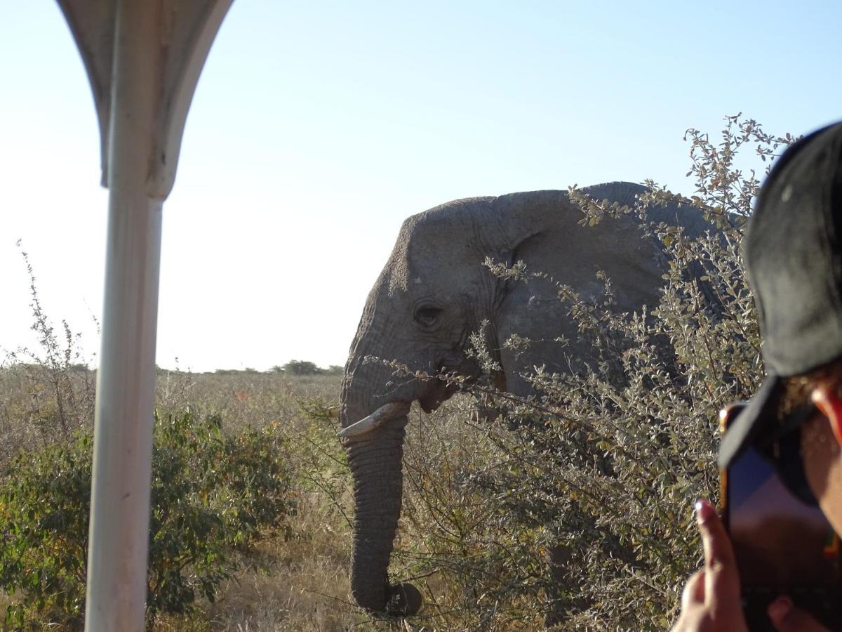 Villa Etosha King Nehale Omuthiya Exterior foto